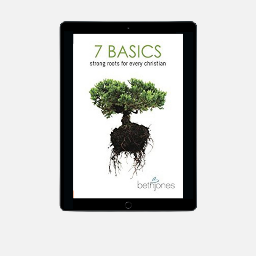 7 Basics E-Book