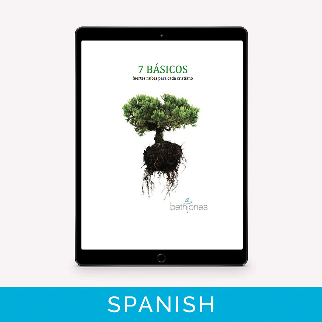7 Basics | Spanish